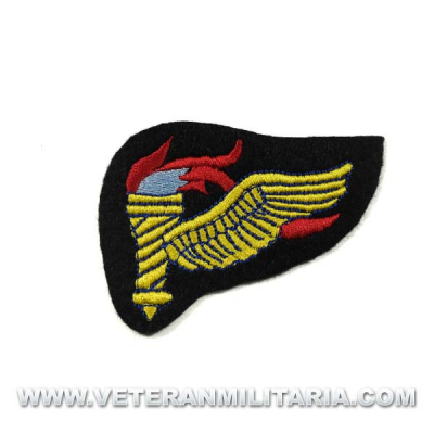 Parche de Pathfinder