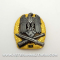 Army General Assault Badge 75